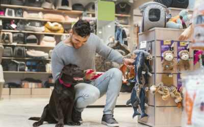 Why Every Pet Business Needs a Professional Website